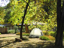 Tent in Meadow